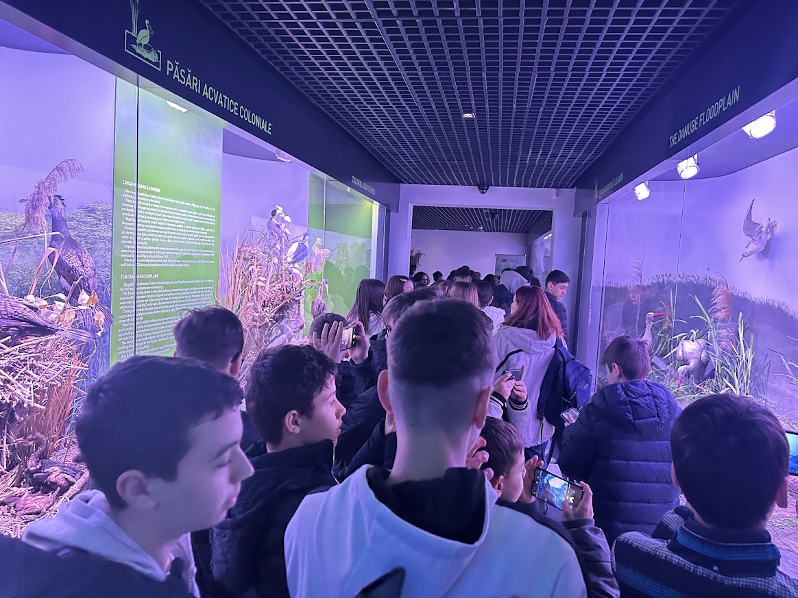 Activitate extra